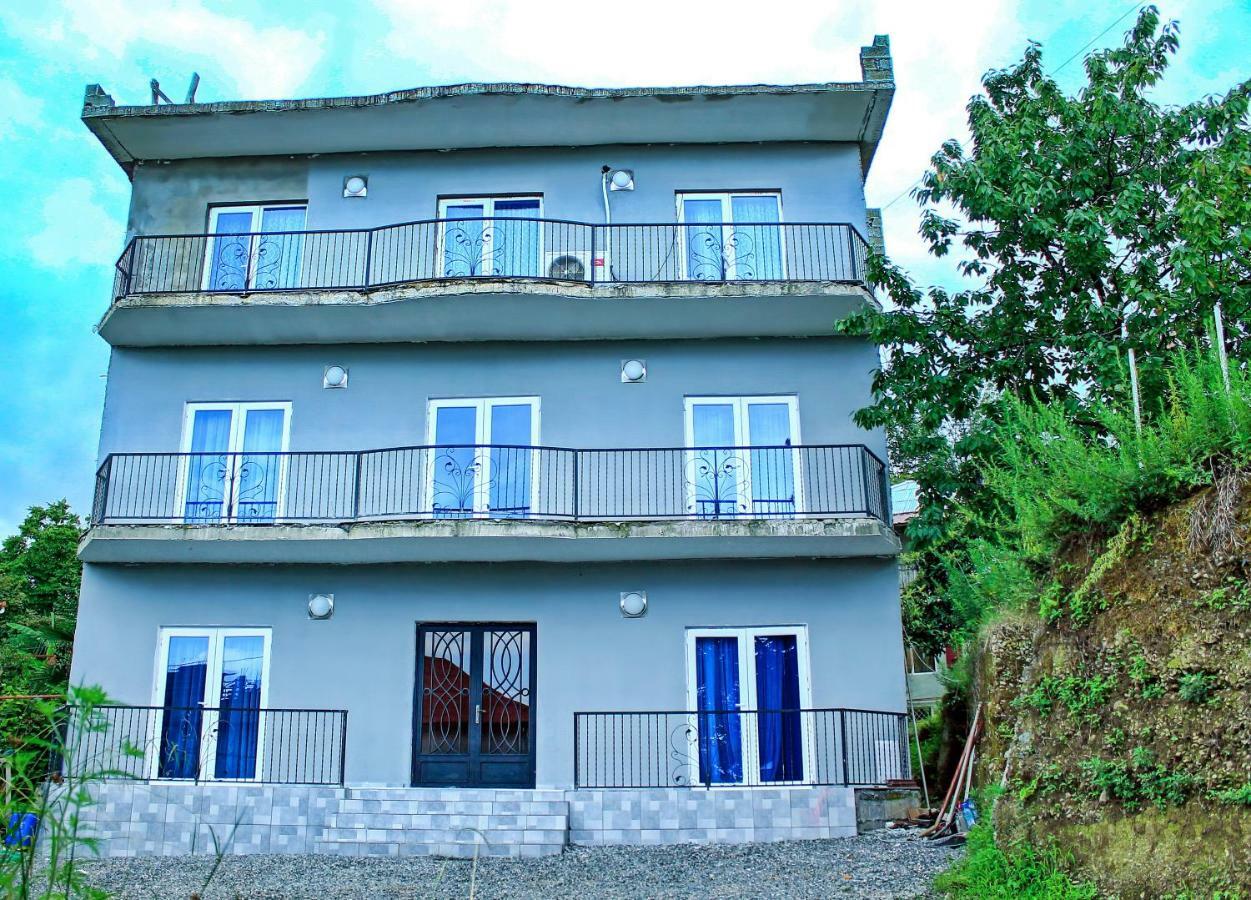 Tedo'S Guest House Makhinjauri Exterior photo
